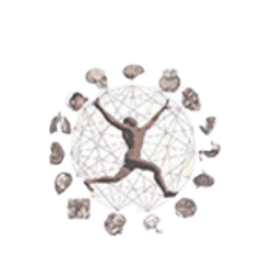 Physiology, Biophysics and Systems Biology Logo
